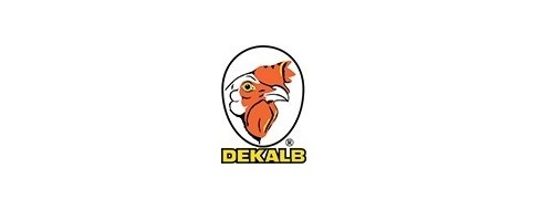 Dekals