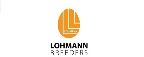 Lohmann