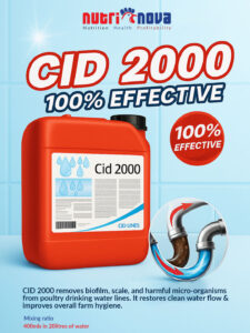 CID-NEW