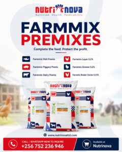 Premixes-2026