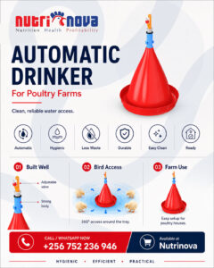 automatic-drinkers