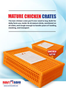 crates