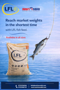 lfl-fish-feed-feb-26