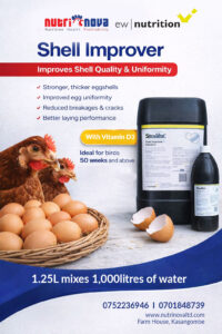 shell-improver